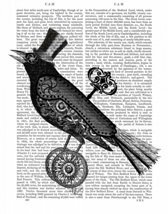 Picture of STEAMPUNK CROW