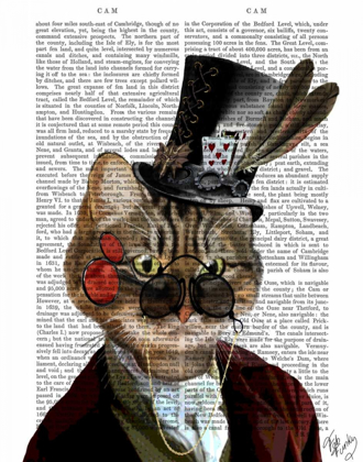 Picture of PHILEAS FELINE STEAMPUNK CAT AND TOP HAT