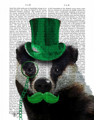 Picture of BADGER WITH GREEN TOP HAT AND MOUSTACHE