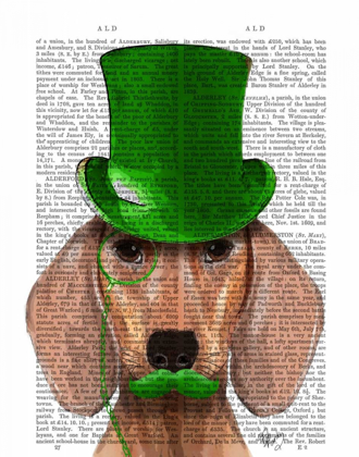 Picture of DACHSHUND WITH GREEN TOP HAT AND MOUSTACHE