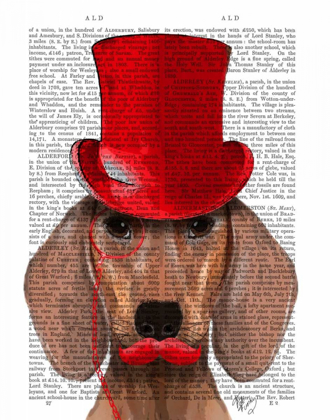Picture of DACHSHUND WITH RED TOP HAT AND MOUSTACHE