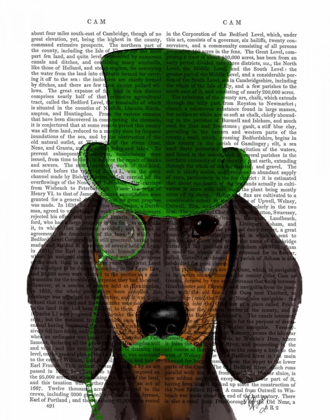 Picture of DACHSHUND WITH GREEN TOP HAT BLACK TAN