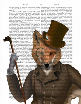 Picture of THE BOUNDER FOX PRINT