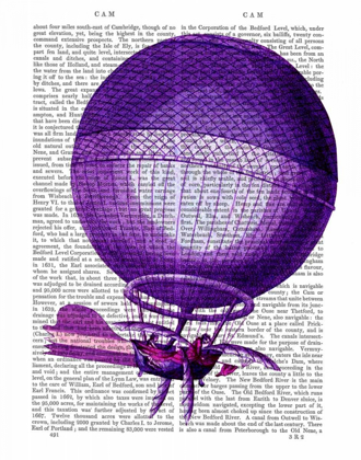 Picture of BLANCHARDS HYDROGEN (PURPLE) HOT AIR BALLOON