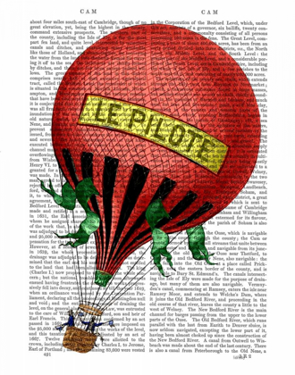 Picture of LE PILOTE HOT AIR BALLOON