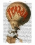 Picture of ITALIA HOT AIR BALLOON