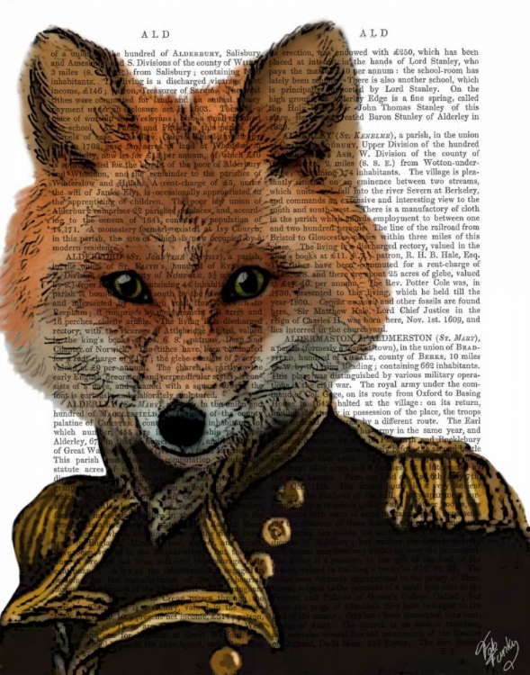 Picture of ADMIRAL FOX PORTRAIT