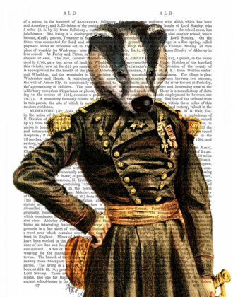 Picture of GENERAL BADGER