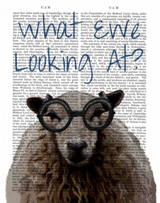 Picture of WHAT EWE LOOKING AT