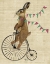 Picture of RABBIT ON PENNY FARTHING