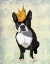 Picture of BOSTON TERRIER AND CROWN