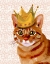Picture of GINGER CAT WITH CROWN PORTRAIT