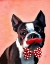 Picture of BOSTON TERRIER PORTRAIT WITH RED BOW TIE AND MOUSTACHE