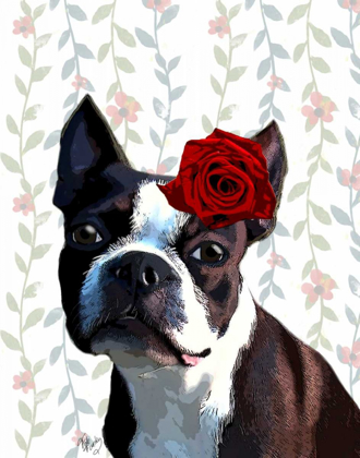 Picture of BOSTON TERRIER WITH ROSE ON HEAD