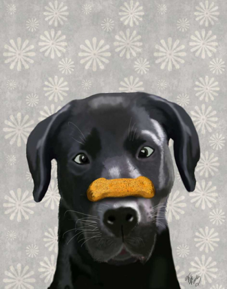 Picture of BLACK LABRADOR WITH BONE ON NOSE