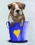 Picture of BULLDOG BUCKET OF LOVE BLUE