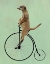 Picture of MEERKAT ON BLACK PENNY FARTHING