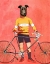 Picture of GREYHOUND CYCLIST