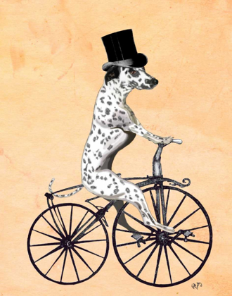 Picture of DALMATIAN ON BICYCLE