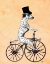 Picture of DALMATIAN ON BICYCLE