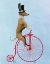 Picture of GREYHOUND ON RED PENNY FARTHING