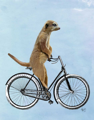 Picture of MEERKAT ON BICYCLE