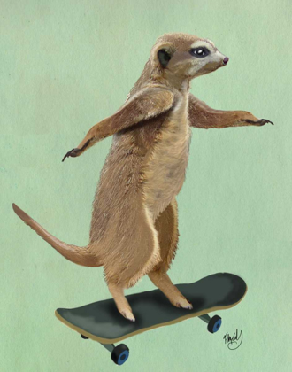 Picture of MEERKAT ON SKATEBOARD