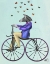 Picture of ZEBRA ON BICYCLE