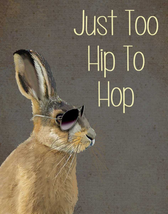 Picture of TOO HIP TO HOP GREY