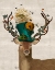Picture of MAD HATTER DEER