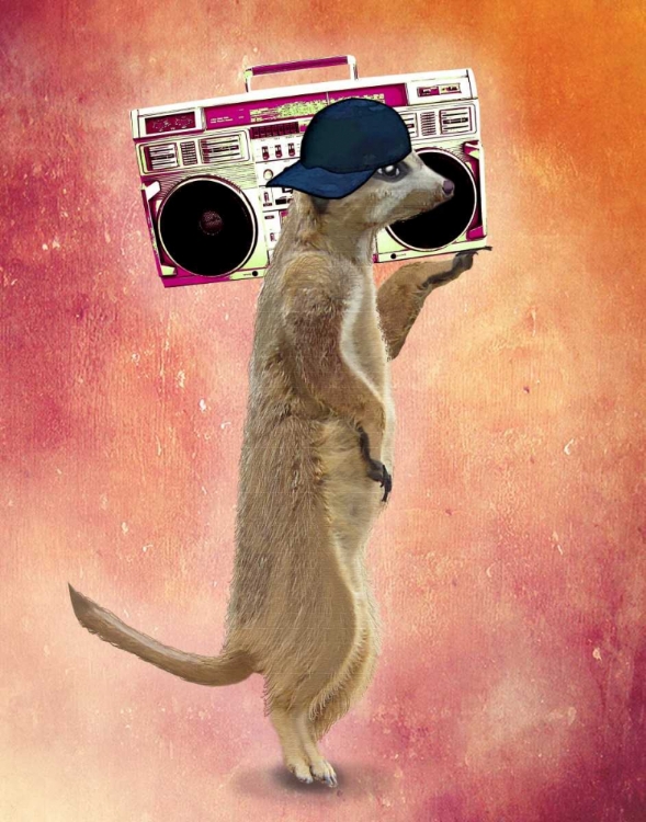 Picture of MEERKAT AND BOOM BOX