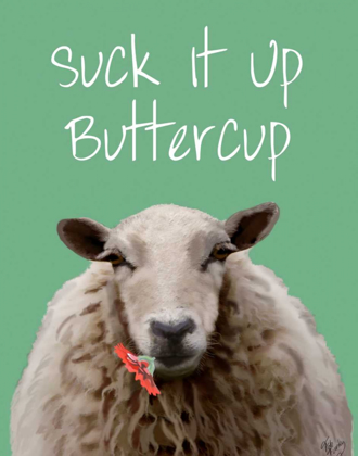 Picture of SUCK IT UP BUTTERCUP SHEEP PRINT