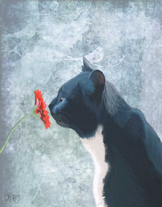 Picture of BLACK CAT SNIFFING FLOWER