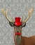 Picture of DEER WITH RED HAT AND MOUSTACHE