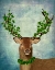Picture of GREEN KING
