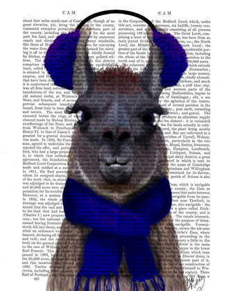 Picture of CHILLY LLAMA, BLUE