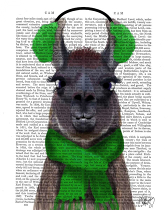 Picture of CHILLY LLAMA, GREEN