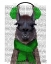 Picture of CHILLY LLAMA, GREEN