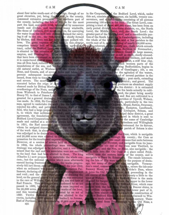 Picture of CHILLY LLAMA, PINK