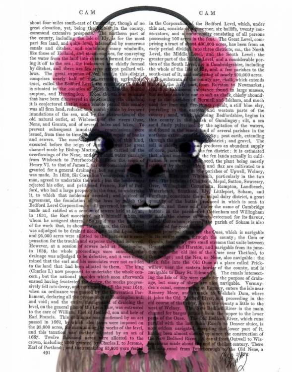 Picture of CHILLY LLAMA, PINK