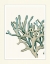 Picture of BLUE UNDERWATER SCENES 2 B