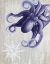 Picture of OCTOPUS 7