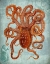 Picture of COASTAL LIFE COLLECTION 2 B