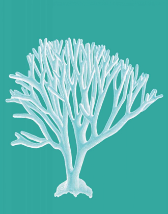 Picture of CORAL 2 WHITE ON TURQUOISE