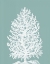 Picture of CORAL TREE ON MIST BLUE/GREEN