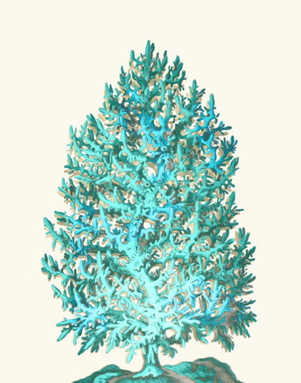 Picture of CORAL TREE TURQUOISE ON CREAM