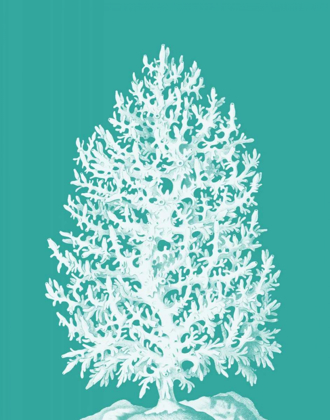 Picture of CORAL TREE WHITE ON TURQUOISE