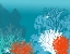Picture of UNDERWATER CORAL