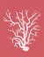 Picture of CORALS WHITE ON CORAL A
