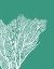 Picture of TURQUOISE CORAL PRINTS C